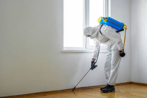 Best Emergency Pest Control  in Briar Chapel, NC